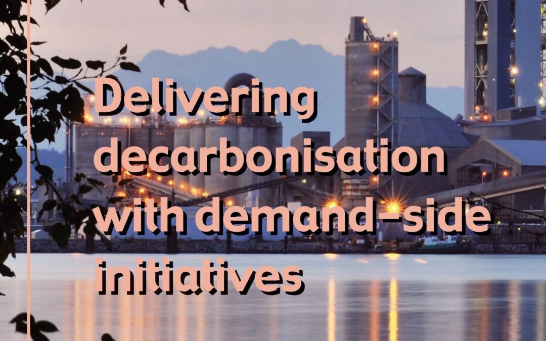 Delivering decarbonisation with demand-side initiatives