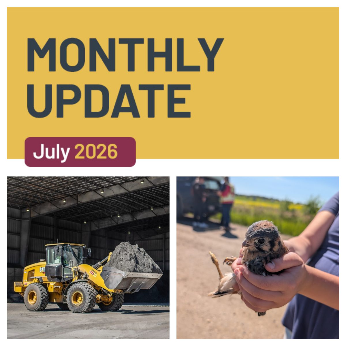 Monthly Update: July 2026. Photos feature a construction loader and a baby bird